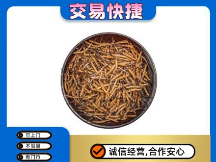 玉溪市通海回收散虫草