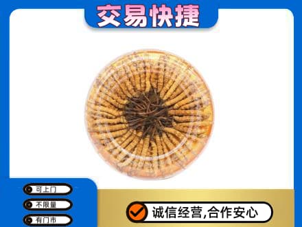 玉溪市通海回收虫草礼盒